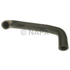 Radiator Coolant Hose