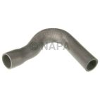 Radiator Coolant Hose