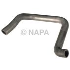 Radiator Coolant Hose