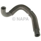 Radiator Coolant Hose