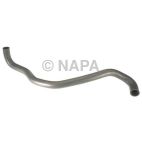 Radiator Coolant Hose