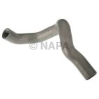 Radiator Coolant Hose
