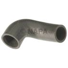 Radiator Coolant Hose