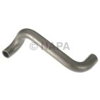 Radiator Coolant Hose
