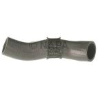 Radiator Coolant Hose