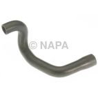 Radiator Coolant Hose