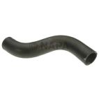 Radiator Coolant Hose