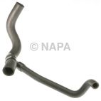 Radiator Coolant Hose