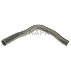 Radiator Coolant Hose