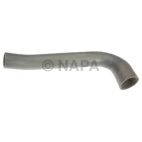 Radiator Coolant Hose