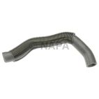 Radiator Coolant Hose
