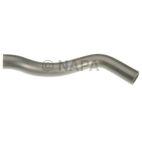 Radiator Coolant Hose