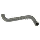 Radiator Coolant Hose