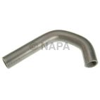 Radiator Coolant Hose