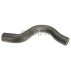 Radiator Coolant Hose