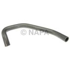 Radiator Coolant Hose