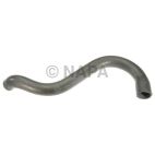 Radiator Coolant Hose