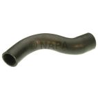 Radiator Coolant Hose