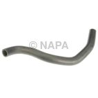 Radiator Coolant Hose