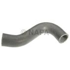 Radiator Coolant Hose