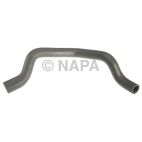 Radiator Coolant Hose