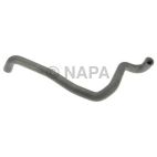 Radiator Coolant Hose