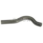 Radiator Coolant Hose