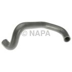 Radiator Coolant Hose