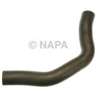 Radiator Coolant Hose