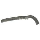 Radiator Coolant Hose