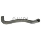Radiator Coolant Hose