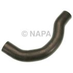 Radiator Coolant Hose