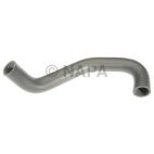 Radiator Coolant Hose