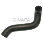 Radiator Coolant Hose