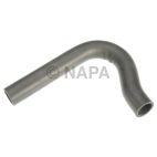 Radiator Coolant Hose