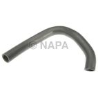 Radiator Coolant Hose