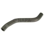 Radiator Coolant Hose