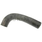 Radiator Coolant Hose