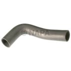 Radiator Coolant Hose