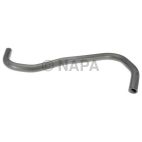 Radiator Coolant Hose