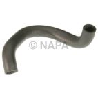 Radiator Coolant Hose