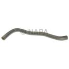 Radiator Coolant Hose