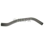 Radiator Coolant Hose