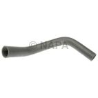 Radiator Coolant Hose