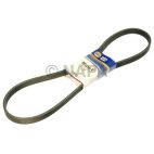 Serpentine Belt