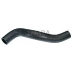 Radiator Coolant Hose