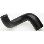 Radiator Coolant Hose