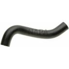Radiator Coolant Hose