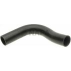 Radiator Coolant Hose
