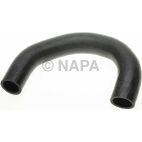 Radiator Coolant Hose